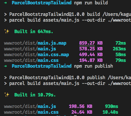 alt=“parcel build and publish test output”
