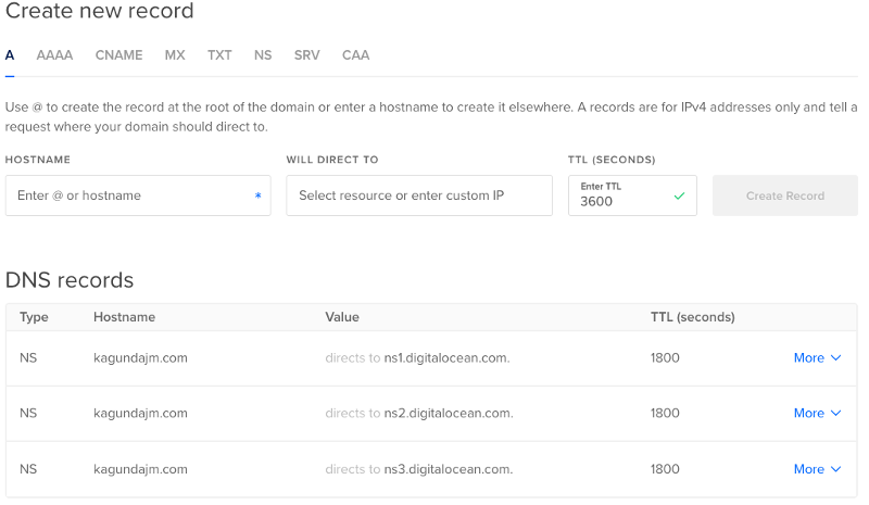 alt=“create domain new DNS record”